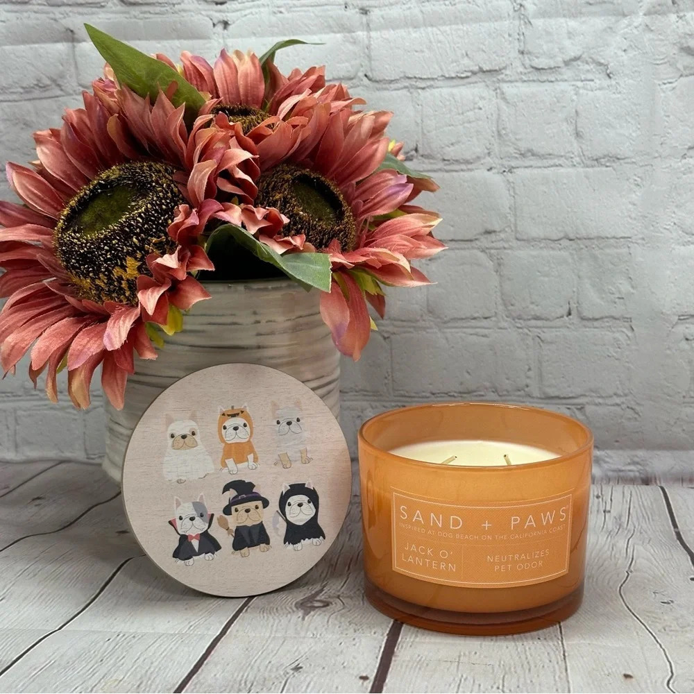 NWT sand + paws jack o'lantern candle with frenchies french bulldog coastume